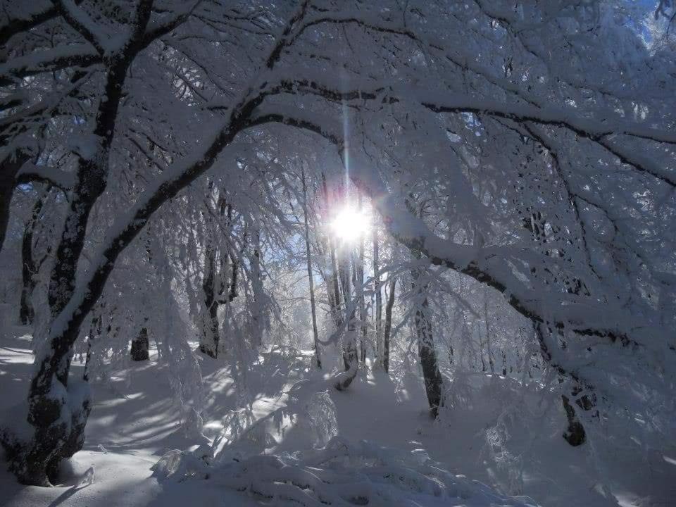 Stara Planina Vila Vesela Kuca Jalovik Izvor Екстер'єр фото
