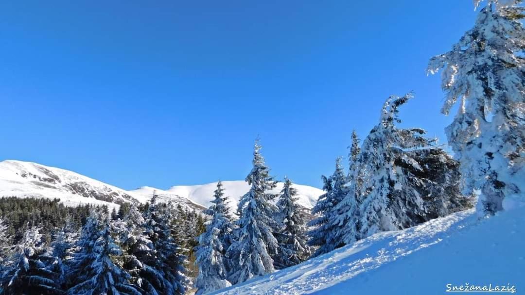 Stara Planina Vila Vesela Kuca Jalovik Izvor Екстер'єр фото